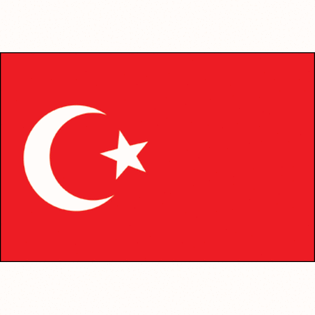 Pavillon Turquie 30 X 40 cm