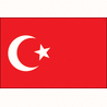 Pavillon Turquie 30 X 40 cm