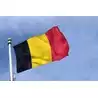 Pavillons national Belgique 30 X 45 cm
