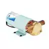 Pompe de cale Maxi Puppy 3000 12V Débit 1 500 L/H Sortie 1/2'' 21 Ampères