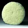 Plateau de lustrage SuperBuff blanc diamètre 203 mm