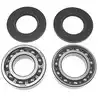 Kits de réparation cloche roulement bol 250 270