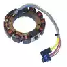 Stator OMC 150-175CV 1993-02 Johnson Evinrude 584981