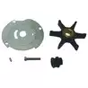Kit de pompe à eau sans corps Johnson Evinrude 382468