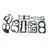 Pochette de joints moteur Johnson Evinrude 394546