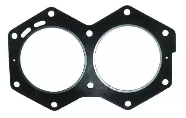 Joint de culasse Johnson Evinrude 318358