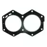 Joint de culasse Johnson Evinrude 318358