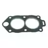Joint de culasse Johnson Evinrude 325273