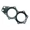 Joint de culasse Johnson Evinrude 335359