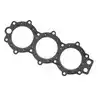 Joint de culasse Johnson Evinrude 329836