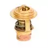 Thermostat Mercury Mariner Pour 6, 7, 8, 9.9 et 15 CV, 25/30 CV 2 cyl., 50/55/60 CV 3 cyl., 40/50/60 CV 4T.