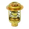 Thermostat 143° F 50/60 CV (3 cyl) Mercury Mariner 75692