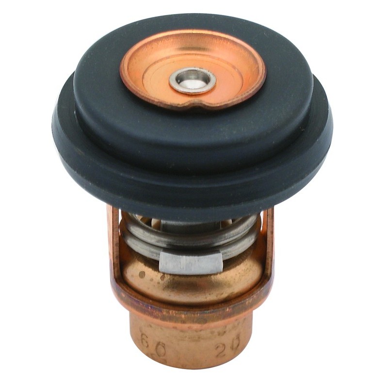 Kit thermostat 8/9.9/15/20/25/30 4 temps Tohatsu 3R3010300 SIE1843175