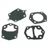 Kit diaphragm pompe V4-V6 kit membranes SIE18-7788