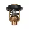 Thermostat 60°C joint inclus Yamaha 6F5-12411-03-00 SIE18-3625 