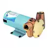 UTILITY PUPPY 3000 12V BSP Débit 2 580 L/H Sortie 3/4'' 20 Ampères