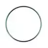 Couronne GM V6 V8 VOLANT 12" 153 dents