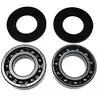 Kits de réparation cloche roulement bol 270 280 SP DP