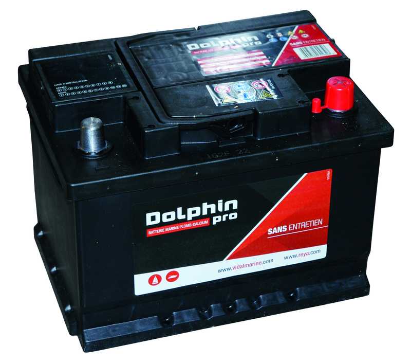 Batterie 12V Dolphin PRO 60A dimensions 242 X 175 X 175 mm