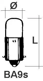 Ampoule 12V 6W BA9S sphérique diamètre 15x29mm