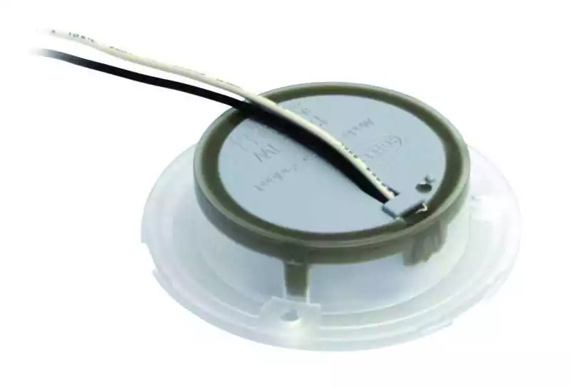 Plafonnier LED ronde courtoisie éclairage blanc 24V inox poli