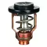 Thermostat pour moteurs Yamaha F75 à F250 Suzuki DF70 à DF300 67F-12411-01