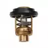 Thermostat 60°C Yamaha 6FP-12411-00 F75B F80D F90B VF90A F100F