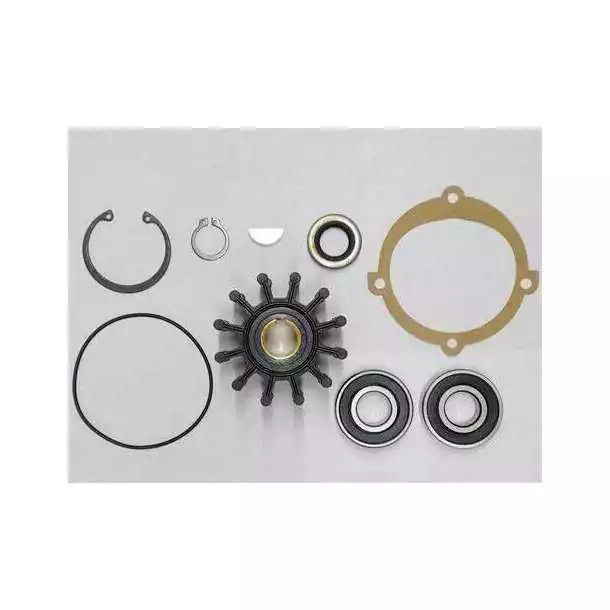 Kit majeur de réparation pompe P102 P105 P109 