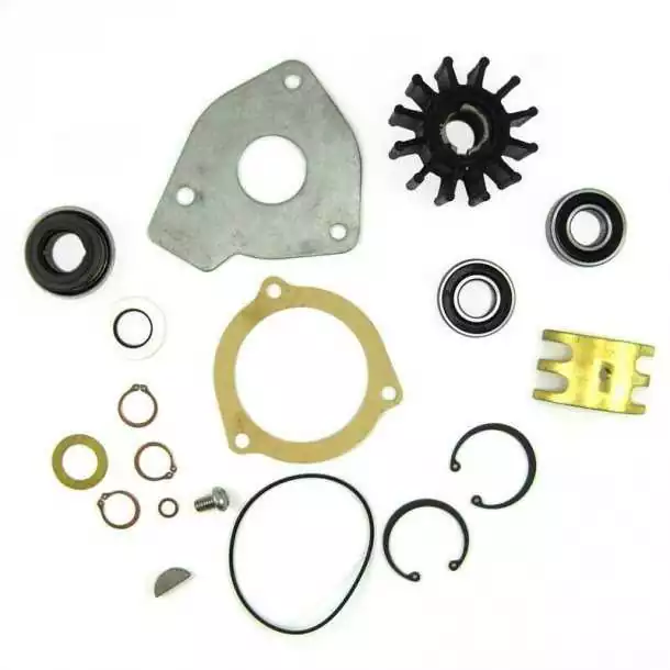 Kit majeur de réparation Sherwood Modèle de pompe G21,G9901,G9903,K75B