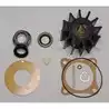 Kit mineur de réparation pompe 17000 Sherwood