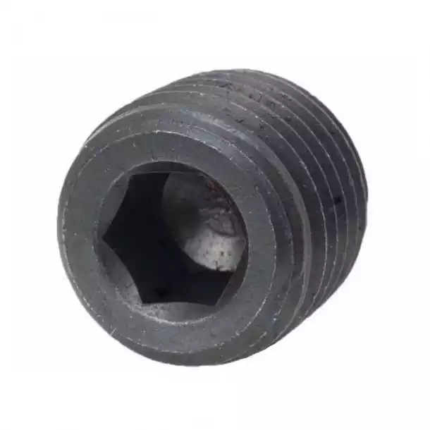 Bouchons Acier 1/4" NPT SIE18-4257 Bouchons Acier 1/4" NPT SIE18-4257