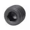 Bouchons Acier 1/4" NPT 18-4257
