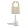 Cadenas laiton 50mm