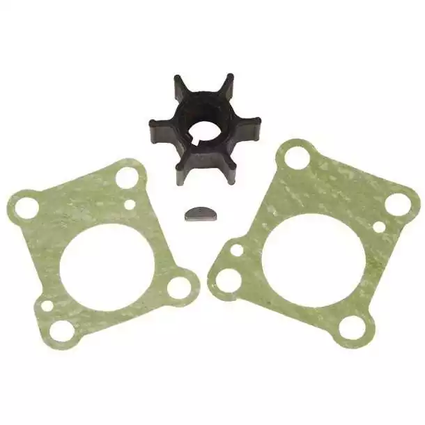 Kit pompe à eau pour moteurs Honda BF9.9A BF15A 06192-ZV4-000 06192-ZV4-A00
