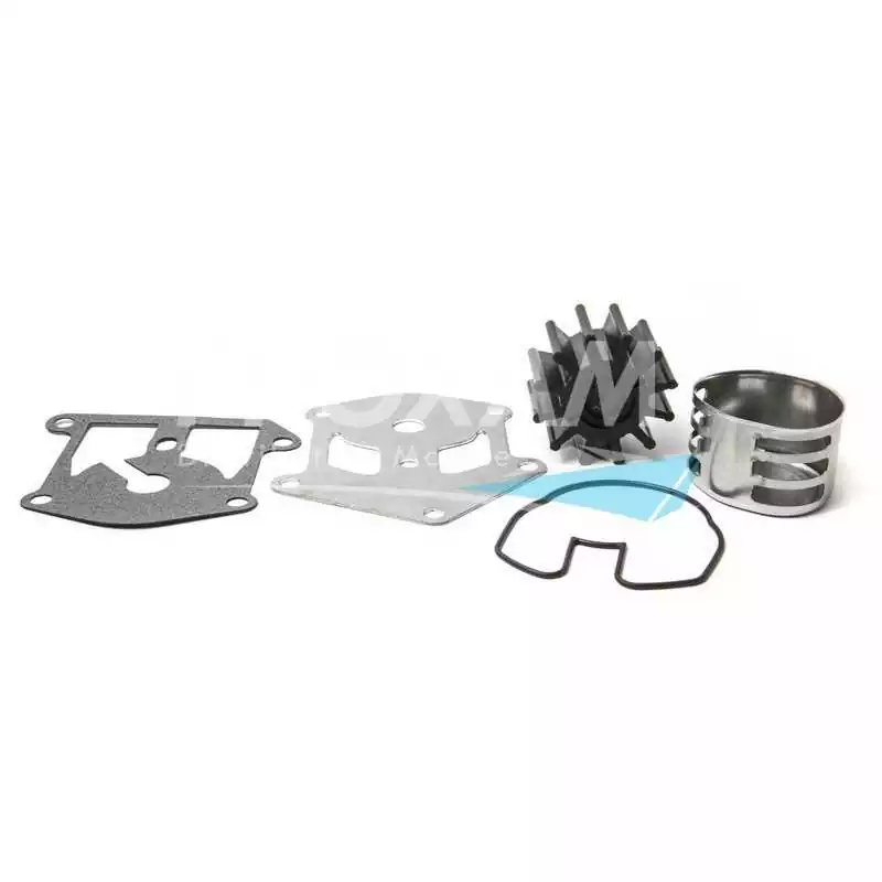 Kit pompe à eau sans corps OMC KING COBRA 92-95 3854661 987253 987743