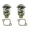Kit Thermostat pour moteurs Mercury 225 - 250 EFI