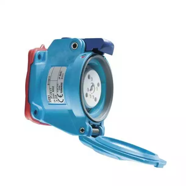 Socle DS6 63/90A 2P + T 250V polyester