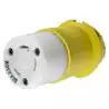 Prise HBL332CRCX femelle 230V 32A 3 pôles