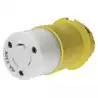 Prise HBL316CRCX femelle 230V 16A 3 pôles