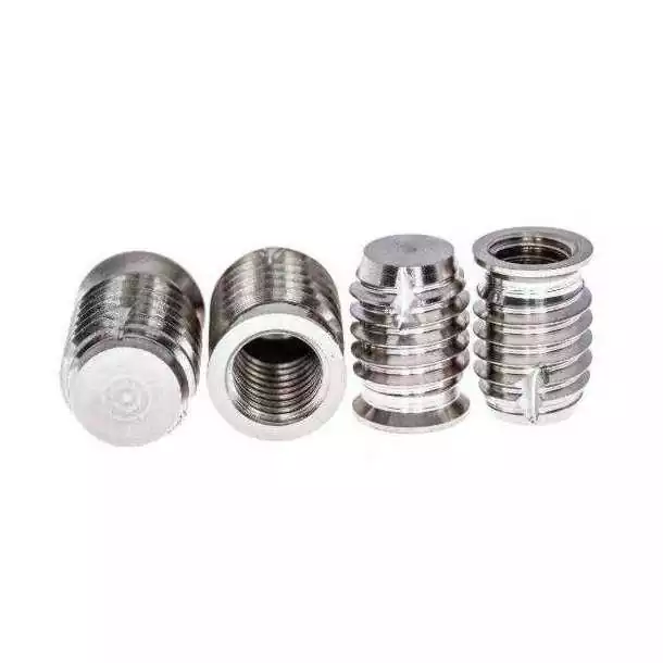 Insert aveugle M6 Longueur 12mm Inox 316 4 pièces