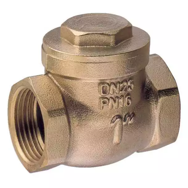 Clapet de retenue 1'' diamètre 25mm PN16