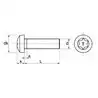 Boite de 25 vis métaux Cylindrique Torx diamètre 6mm Longueur 30mm