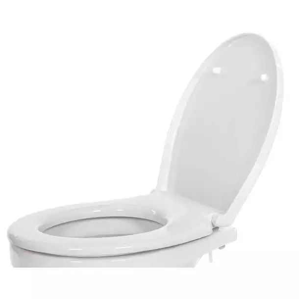 Abattant pour WC Twist'n'lock 29120 ET 37XXX ET 58XX0 Regular soft-close grand modèle Abattant pour WC Twist'n'lock 29120 ET 37XXX ET 58XX0 Regular soft-close grand modèle