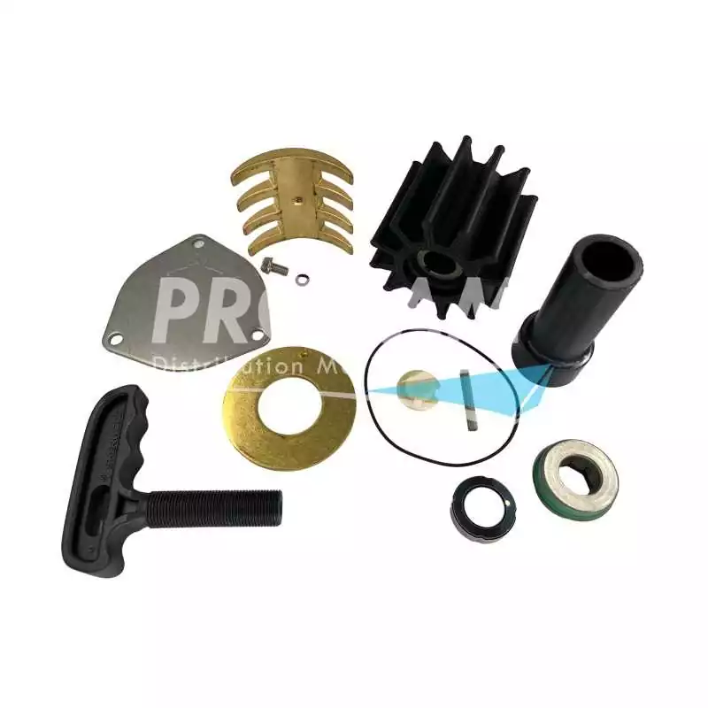 Kit mineur pompe Sherwood P1710C P1732C