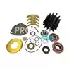 Kit majeur pompe Sherwood P1710 P1726 P1732