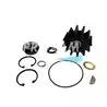 Kit mineur pompe Sherwood G3/G4/G5/G7/G8/G26/G45 A G85