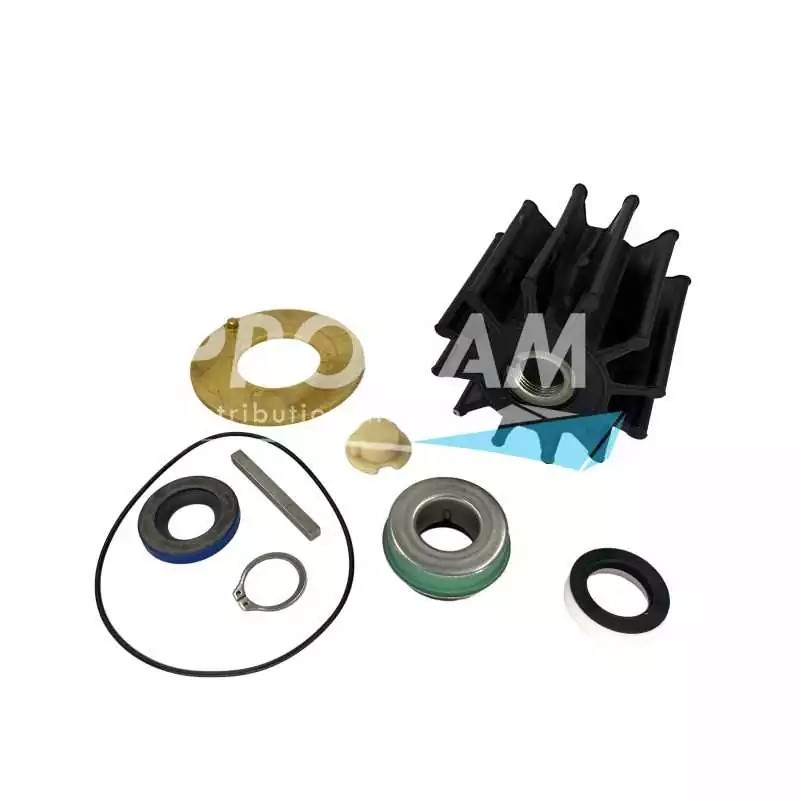 Kit mineur pompe Sherwood P1711/12/16/19/22/27/30/31