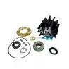 Kit mineur pompe Sherwood P1711/12/16/19/22/27/30/31