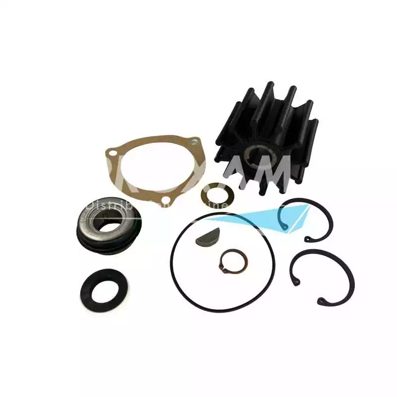 Kit mineur pompe Sherwood GC1/4/5 G151/155/157 G1503