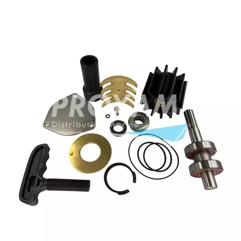 Kit majeur pompe Sherwood P2701 A P2710